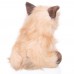Cooper - plüss cairn terrier