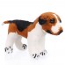 Zoey- plüss beagle - 32cm