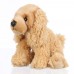 Morzsi - plüss cocker spániel - 25cm Morzsi - plüss cocker spániel - 25cm