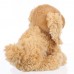 Morzsi - plüss cocker spániel - 25cm Morzsi - plüss cocker spániel - 25cm
