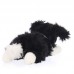 Evelin - plüss border collie - 33cm Evelin - plüss border collie - 33cm