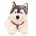 Sziszi - plüss husky - 65cm Sziszi - plüss husky - 65cm