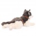 Sziszi - plüss husky - 65cm Sziszi - plüss husky - 65cm