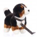 Perry - plüss berni pásztorkutya - 23cm