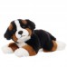 Fickó - plüss berni pásztor - 26cm