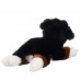 Fickó - plüss berni pásztor - 26cm