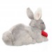 Greg - plüss nyuszi Greg - plüss nyuszi