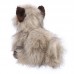 Dior - Cairn terrier - 32cm