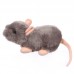 Muki - plüss egér - 16cm Muki - plüss egér - 16cm