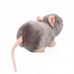 Muki - plüss egér - 16cm Muki - plüss egér - 16cm