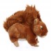 Zsozsó - plüss mókus - 20cm Zsozsó - plüss mókus - 20cm
