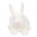 Rob - plüss nyúl - 26cm Rob - plüss nyúl - 26cm