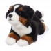 Preston - plüss berni pásztor - 33cm Preston - plüss berni pásztor - 33cm