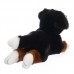 Preston - plüss berni pásztor - 33cm Preston - plüss berni pásztor - 33cm