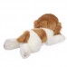 Buddy - plüss spániel - 30cm