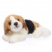 Bingó - plüss beagle - 30cm