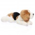 Bingó - plüss beagle - 30cm