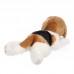 Bingó - plüss beagle - 30cm