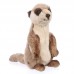 Rayne - plüss szurikáta - 23cm Rayne - plüss szurikáta - 23cm