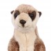 Rayne - plüss szurikáta - 23cm Rayne - plüss szurikáta - 23cm