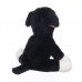 Ellie - plüss berni pásztor - 15cm Ellie - plüss berni pásztor - 15cm
