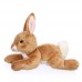 Shazy - barna-fehér plüss nyuszi - 22cm
