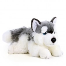 Henry - plüss husky
