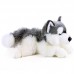Henry - plüss husky Henry - plüss husky